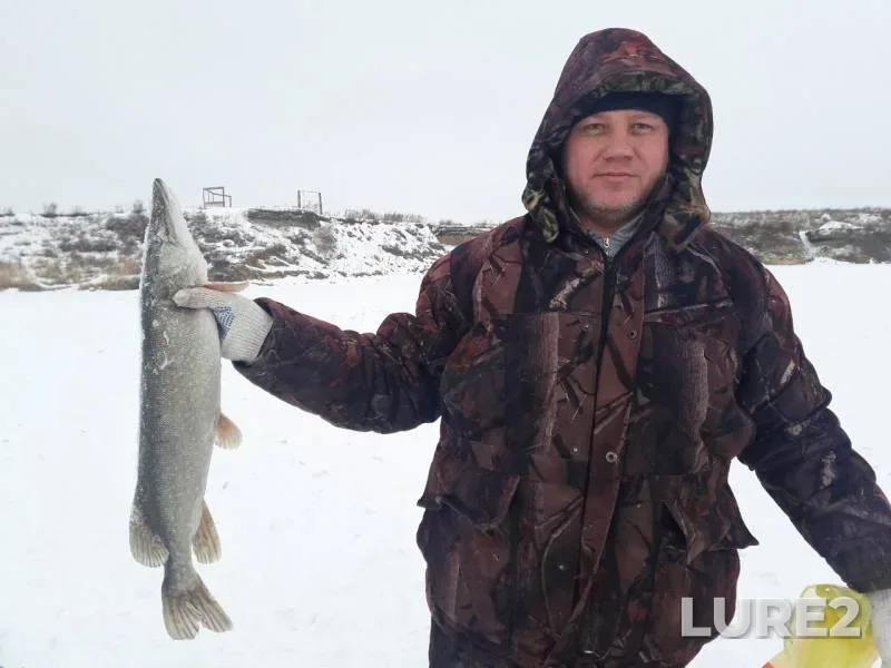 Pike — Chelyabinskaya oblast, Feb 11, 2018