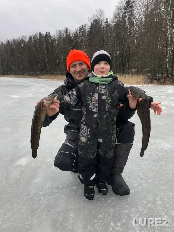 Burbot — Trostnikovoye, Feb 12, 2020