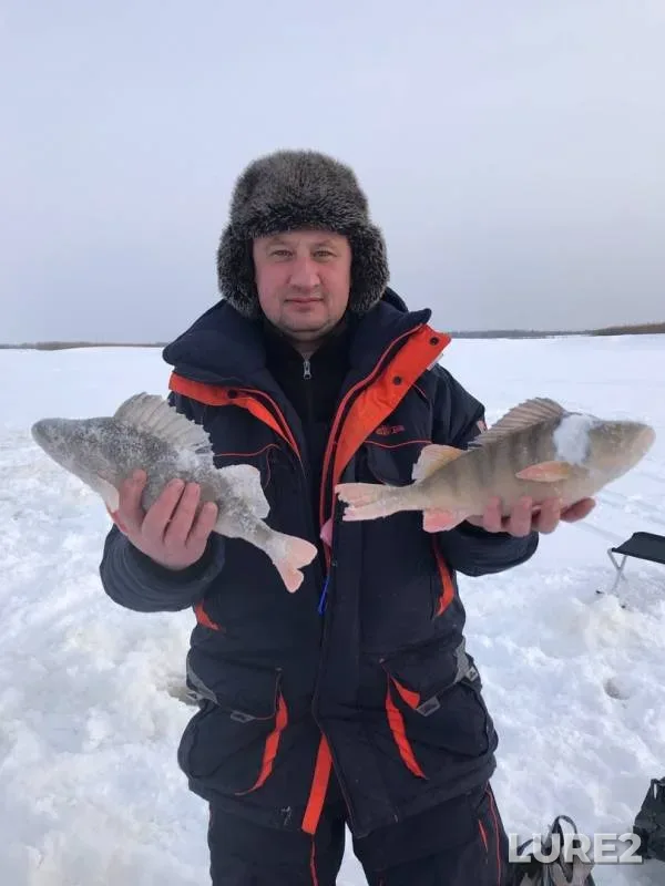 Perch — protoka Malyy Salym, Feb 16, 2020
