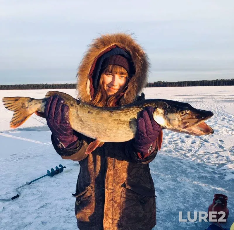 Pike — Sig, Feb 17, 2020