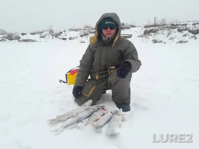 Pike — Chelyabinskaya oblast, Jan 08, 2018