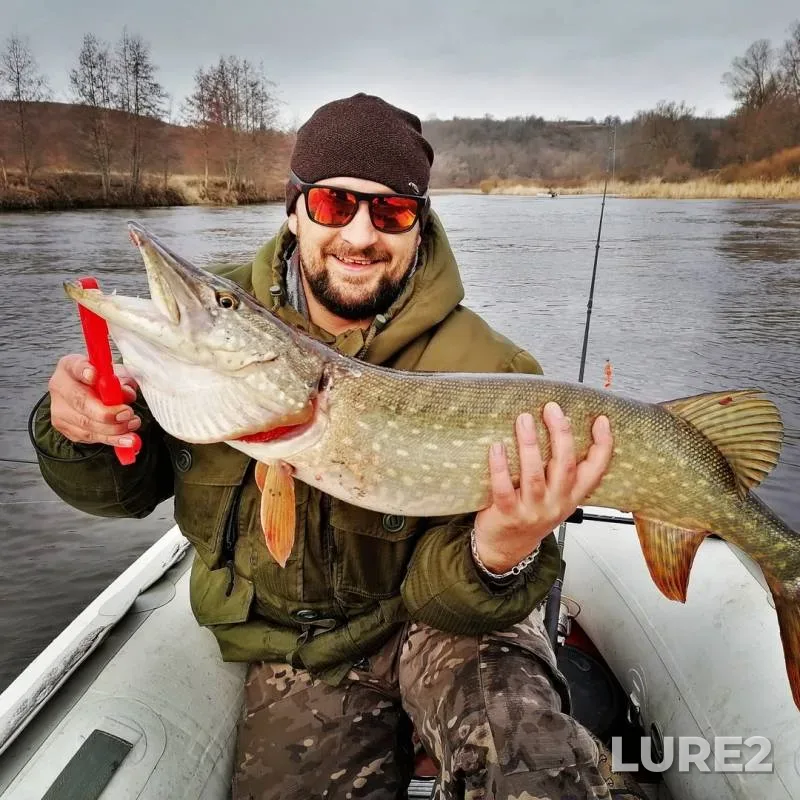 Pike — Voronezh, Mar 14, 2020