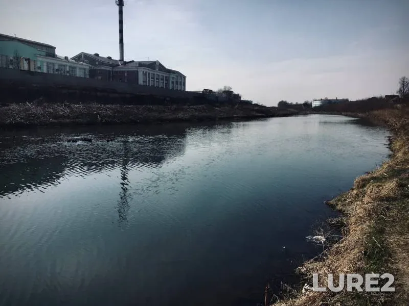 Crucian carp, Perch — Goryachka, Mar 29, 2020