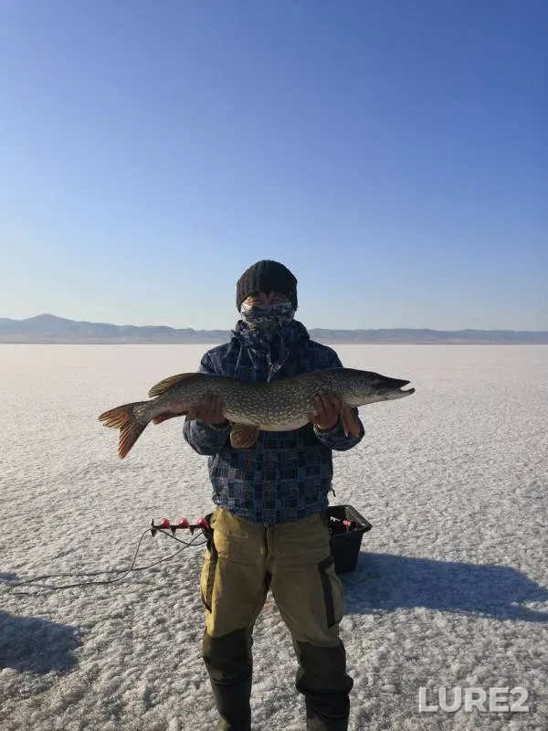 Pike — Gusinoye, Apr 17, 2020