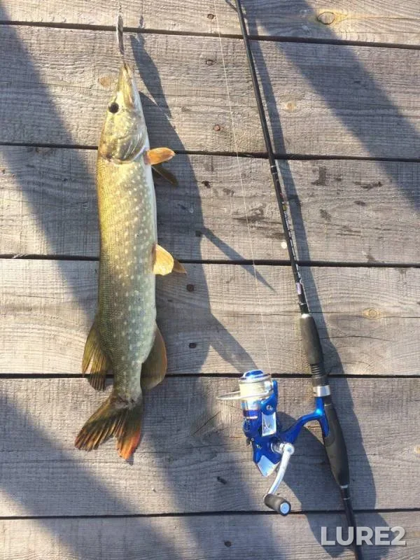 Pike — Peschanoye, Sep 15, 2017