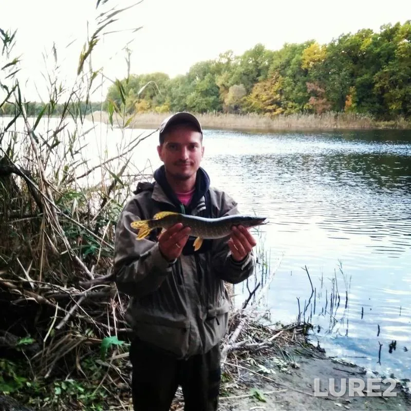 Pike — Bobrovo, Oct 09, 2017