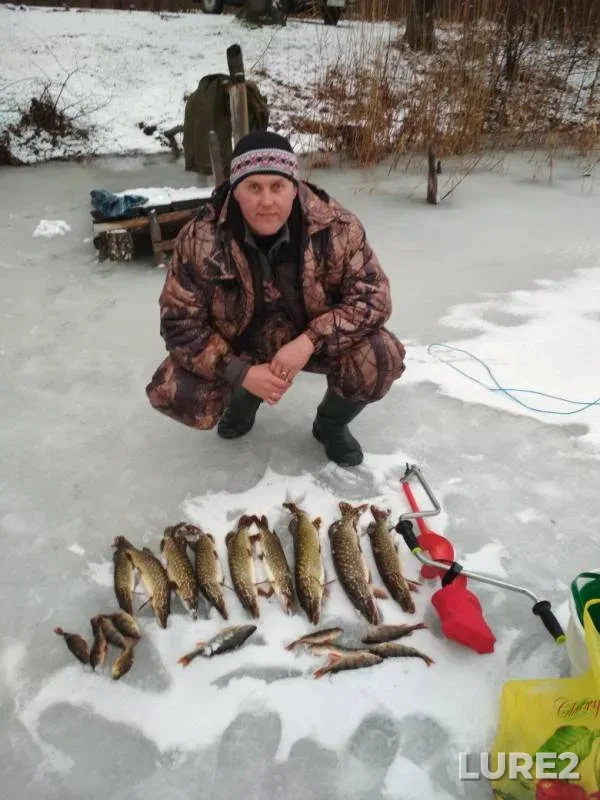 Perch, Pike — Severskiy Donets, Feb 10, 2018
