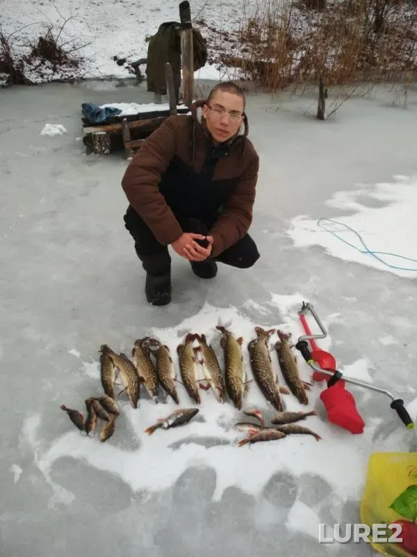 Perch, Pike — Severskiy Donets, Feb 10, 2018