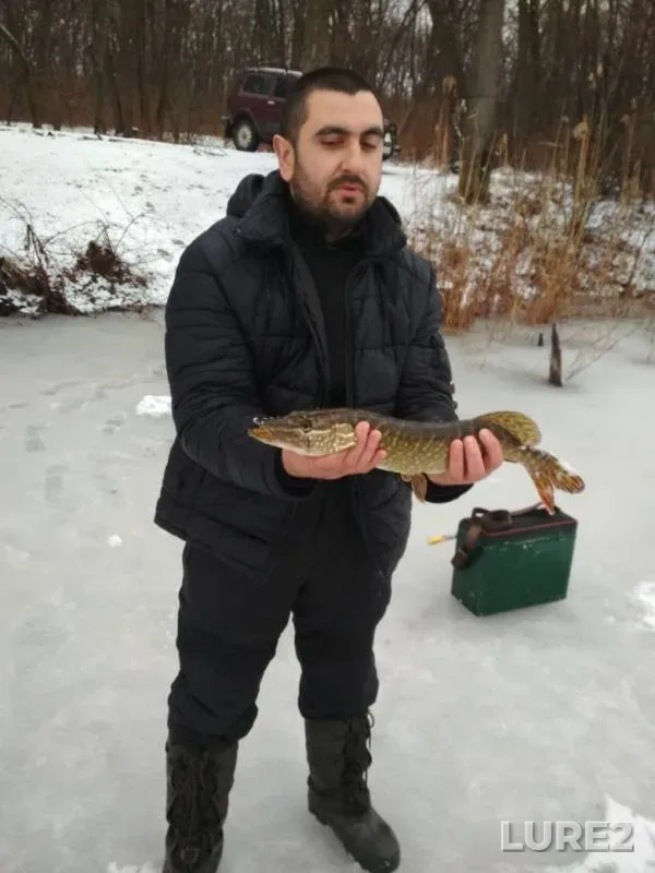 Pike — Severskiy Donets, Feb 10, 2018