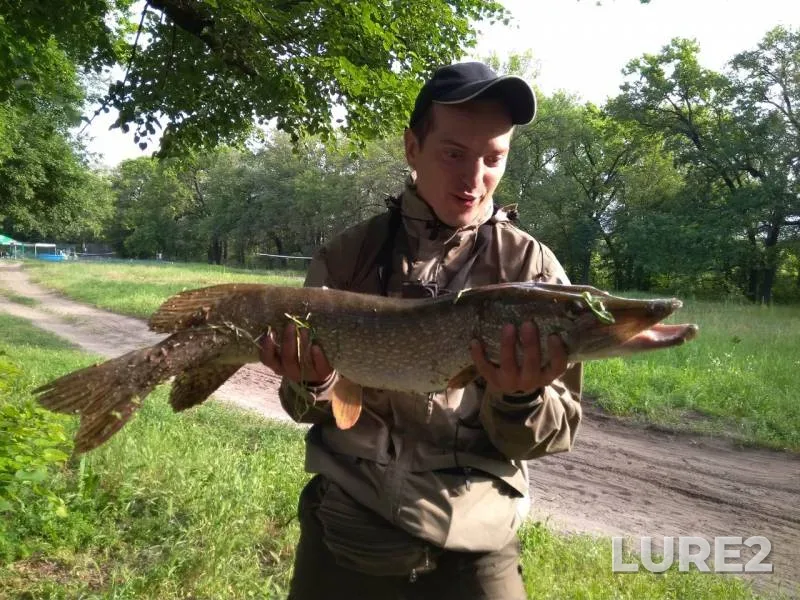 Pike — Severskiy Donets, Jun 04, 2018