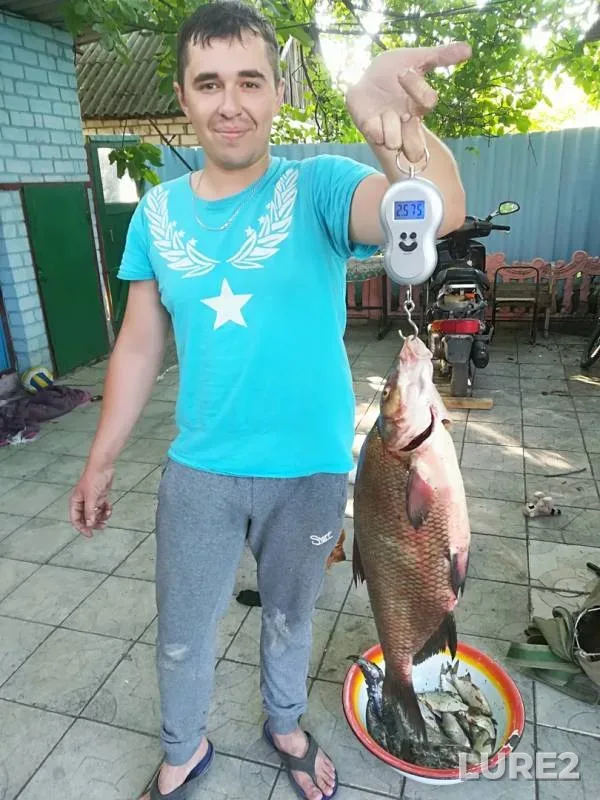 Bream — Severskiy Donets, Jun 20, 2018