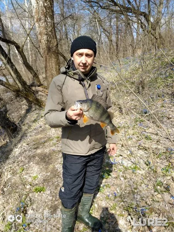 Perch — Severskiy Donets, Mar 30, 2019