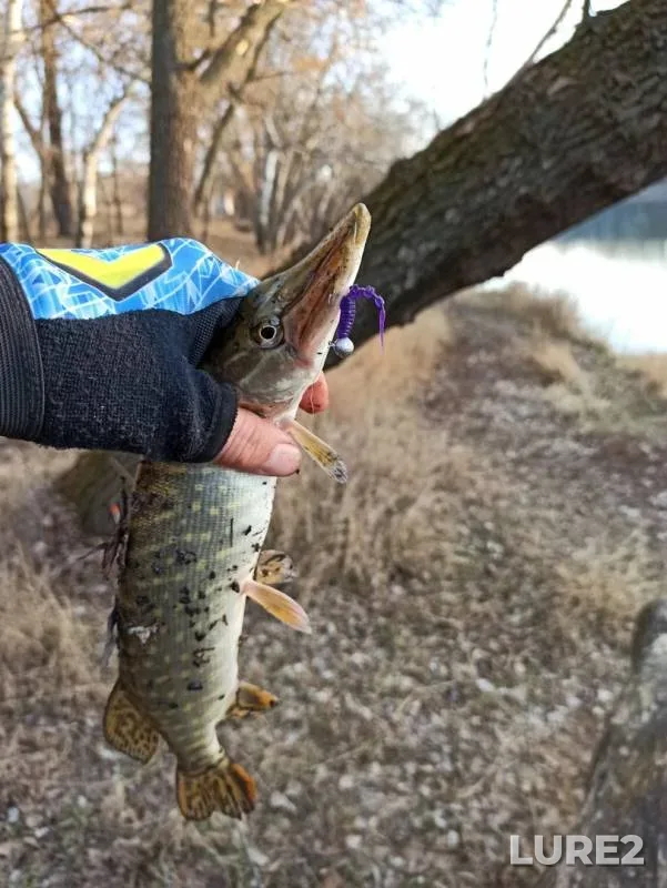 Pike — Severskiy Donets, Dec 19, 2019