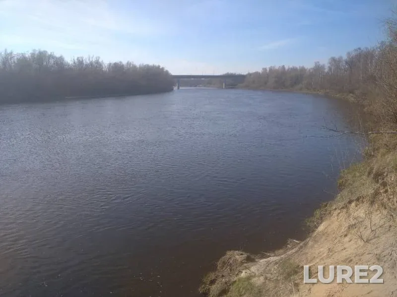 White bream — Klyazma, May 04, 2020