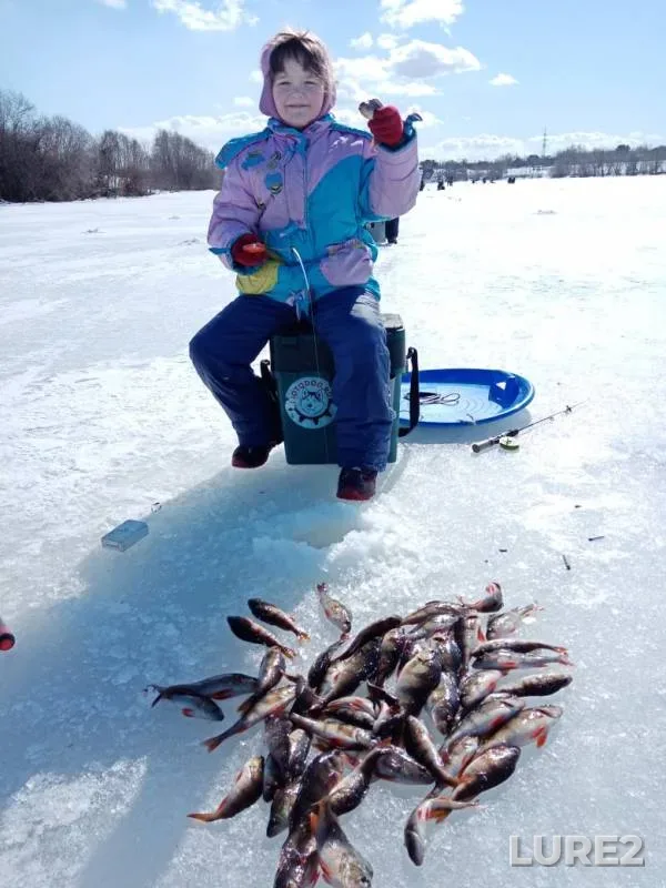 Perch — Arkhangelskaya oblast, Primorskiy munitsipalnyy okrug, Apr 12, 2020