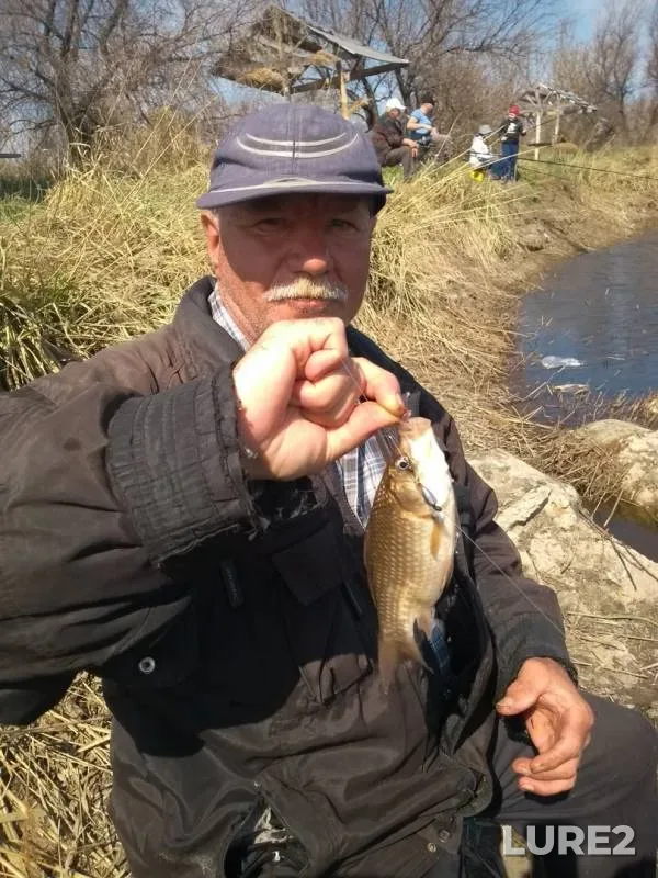 Crucian carp — Samarskaya oblast, Apr 27, 2019