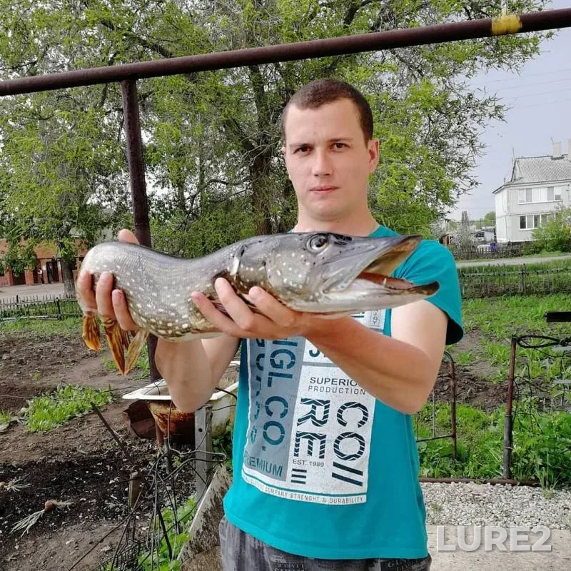 Pike — Saratovskoye, May 12, 2019
