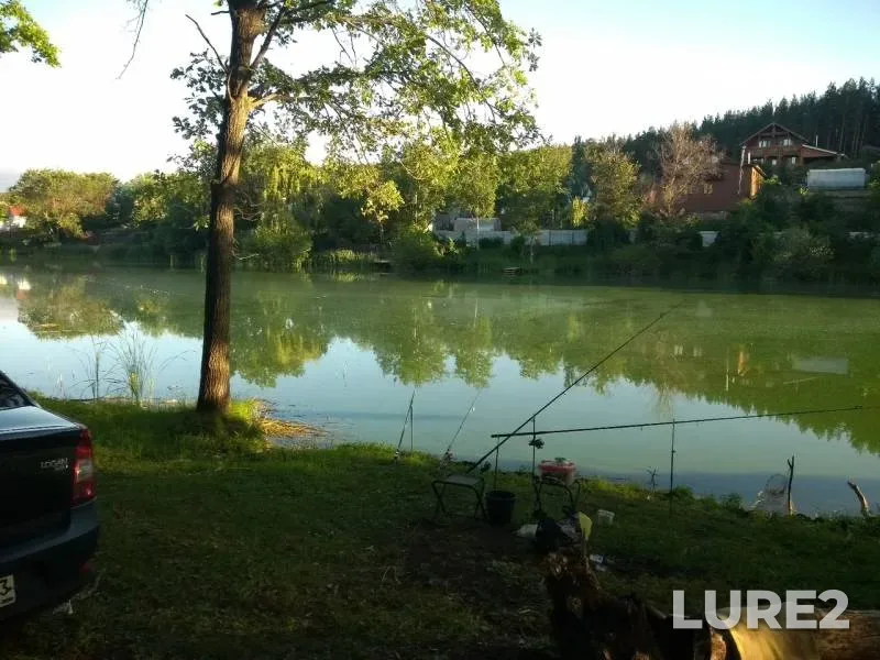 Crucian carp — Trostnikovoye, Jun 15, 2019