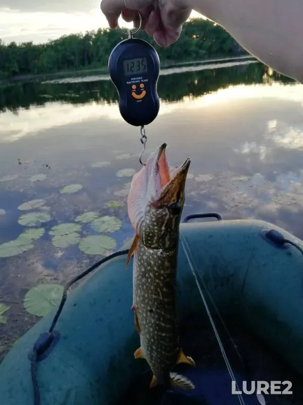 Pike — Saratovskoye, Jun 18, 2019