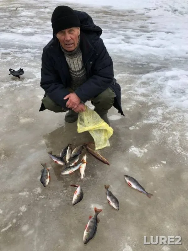 Perch, Pike — Tyvyega, May 02, 2019