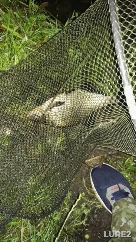 Bream — Mukhavets, Jun 27, 2020