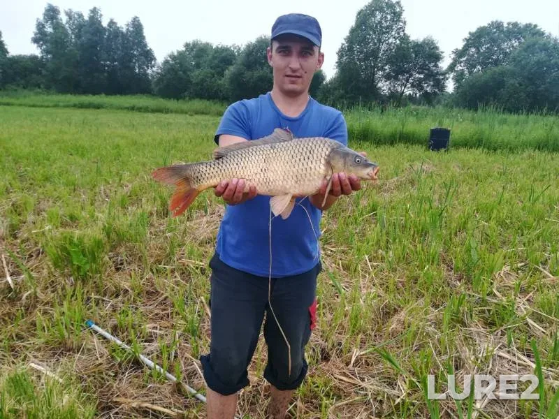 Carp — Tochiya, Jul 03, 2020