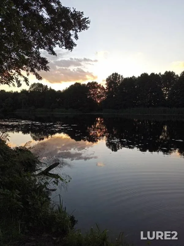 Bream — Mukhavets, Jul 13, 2020