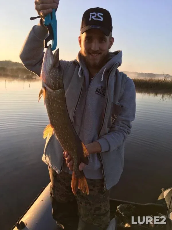 Perch, Pike — Boloto Kopytskoye, Jul 14, 2020