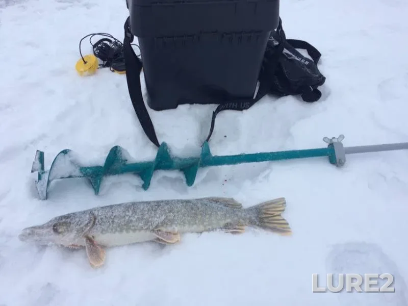 Pike — Khilkovo, Dec 19, 2018