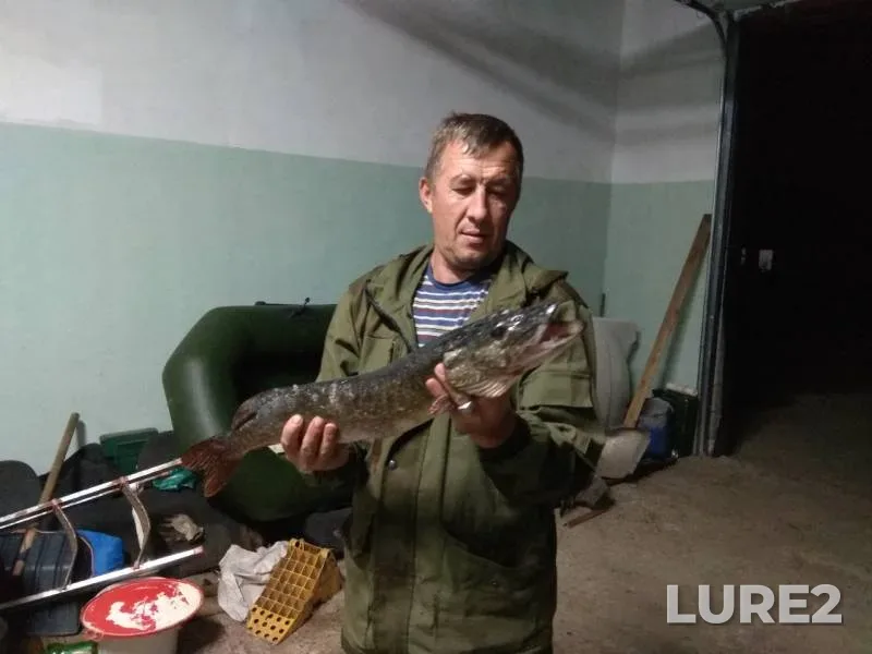 Pike — Kuybyshevskoye, Sep 23, 2018
