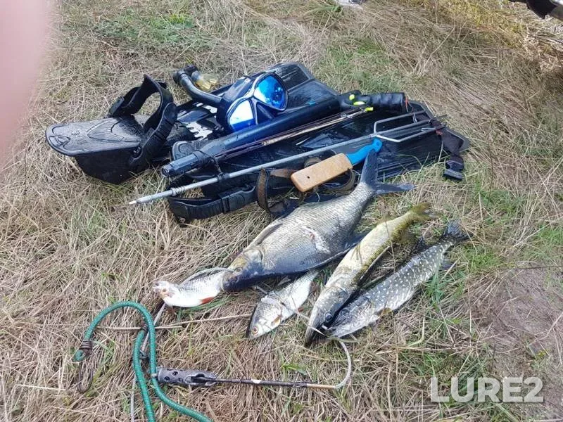 Bream, Perch — Lesnaya, Aug 28, 2020