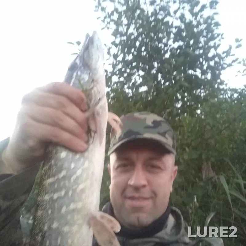 Pike — Zelvyanka, Sep 08, 2020