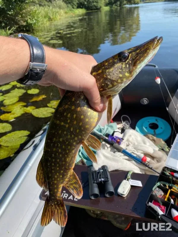 Pike — Mukhavets, Sep 12, 2020