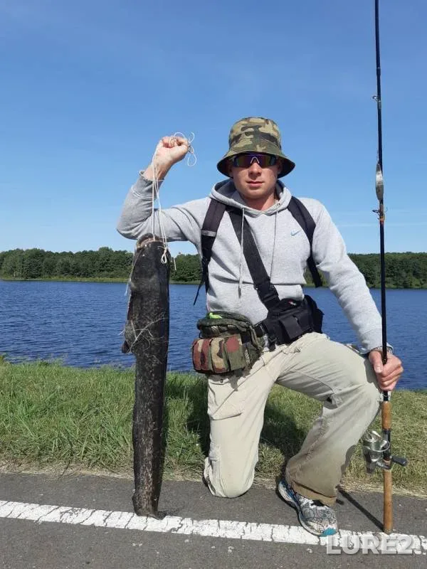 Wels catfish — Grebnoy kanal, Sep 19, 2020