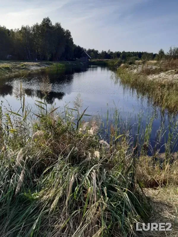 Carp, Crucian carp — Rakovo, Sep 19, 2020