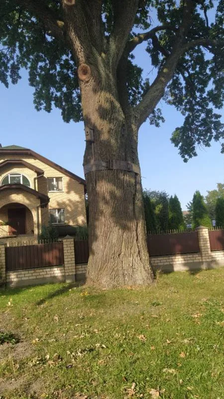 Окунь
