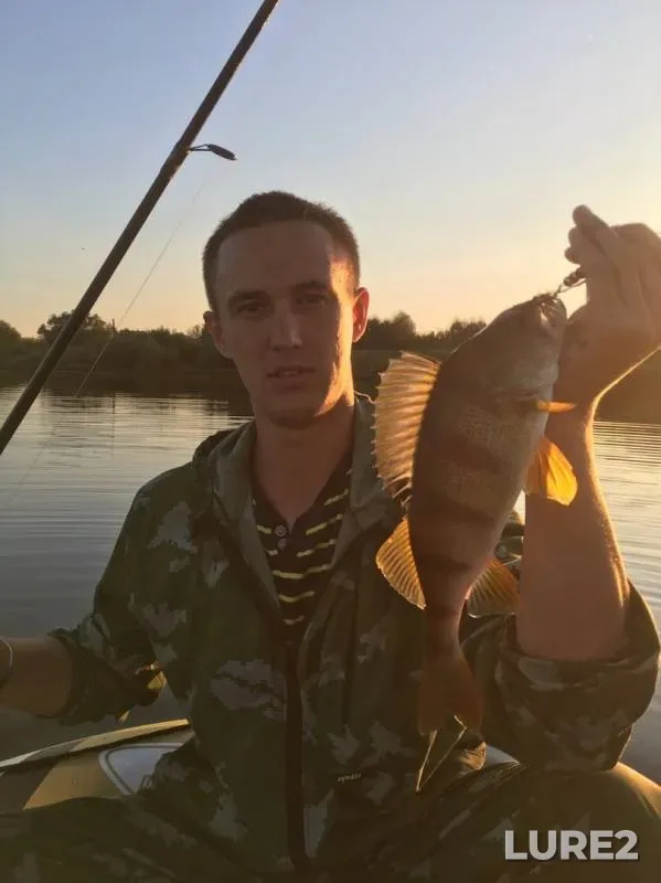 Perch — Ryksha, Sep 10, 2019