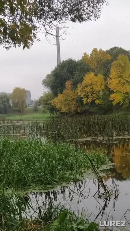 Pike — Brestskaya oblast, Oct 05, 2020