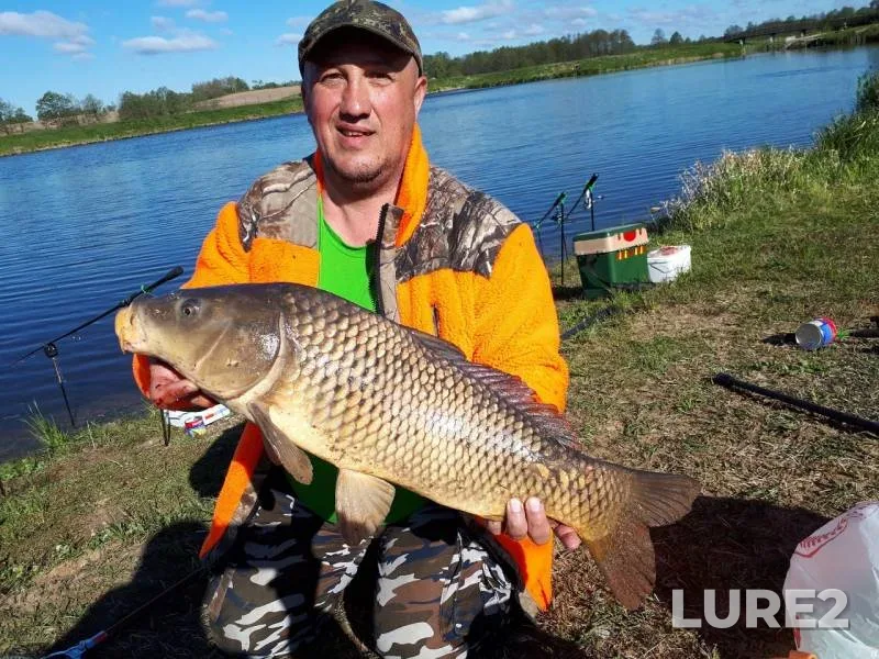 Carp — Ussa, May 23, 2020