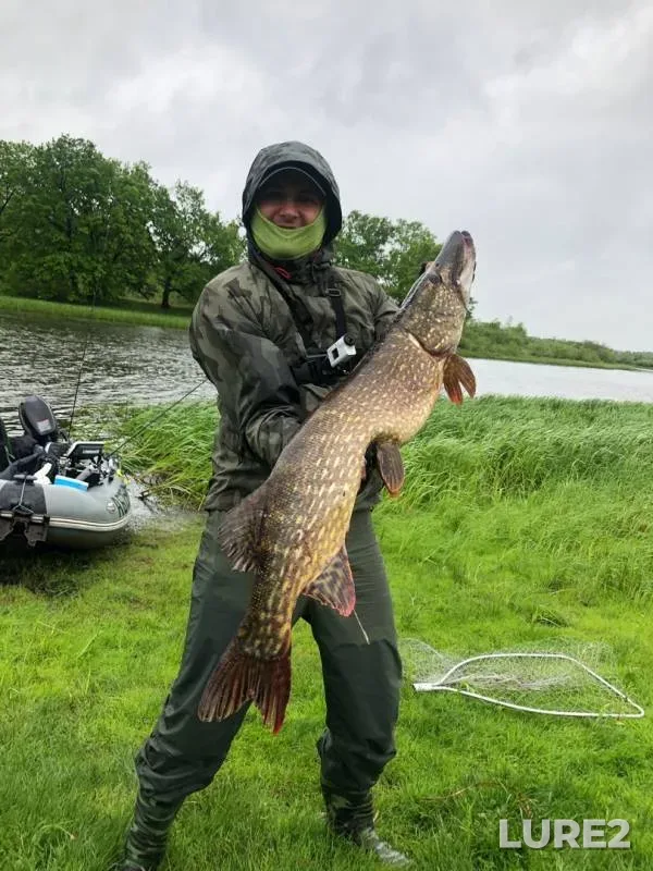 Pike — Berezina, May 31, 2020