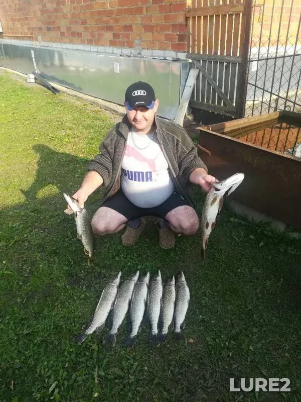 Pike — Rutavech, Oct 19, 2019
