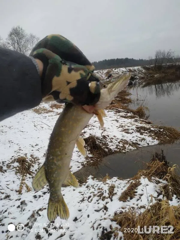 Pike — Obolyanka, Jan 31, 2020