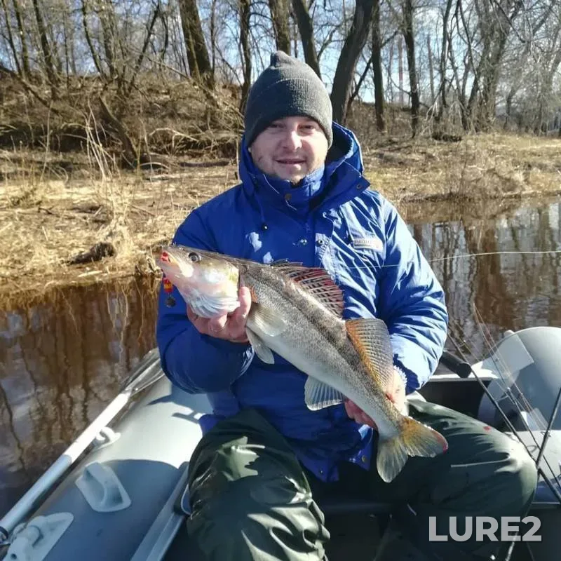 Perch, Pike — Zapadnaya Dvina, Mar 23, 2020