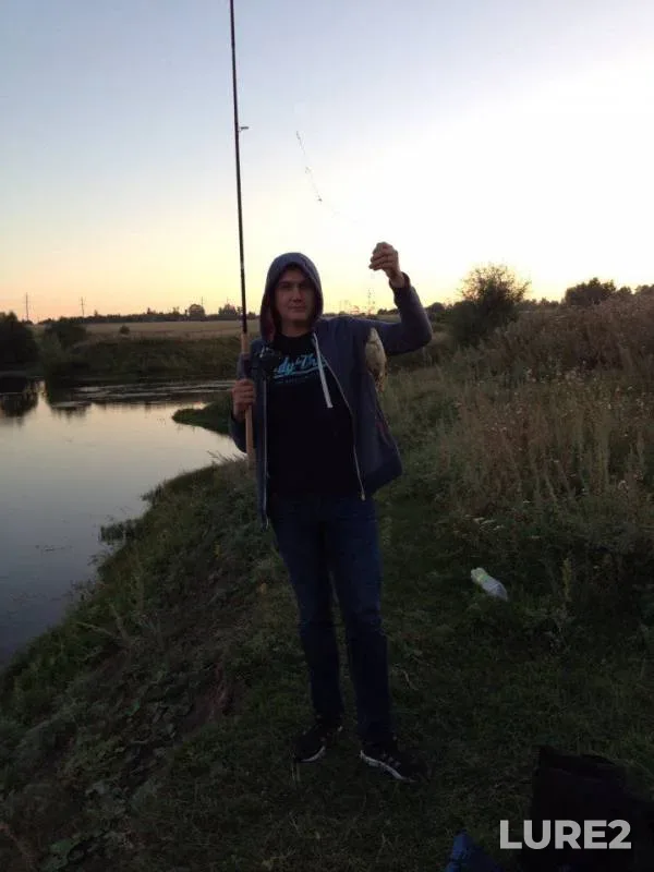 Crucian carp — Kukshum, Aug 21, 2015