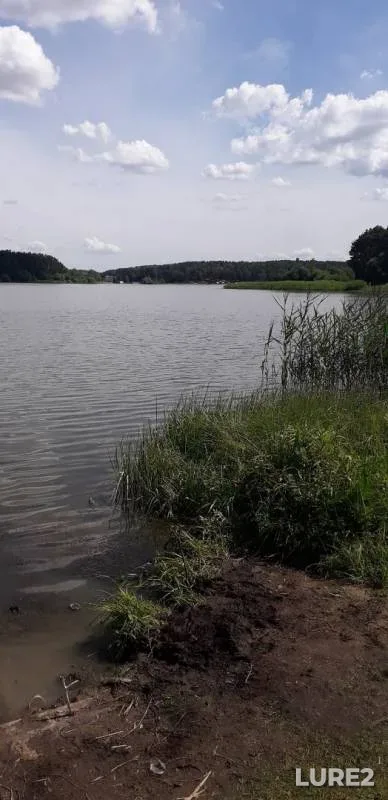 Bream, Roach — Krinitsa, Jul 19, 2020