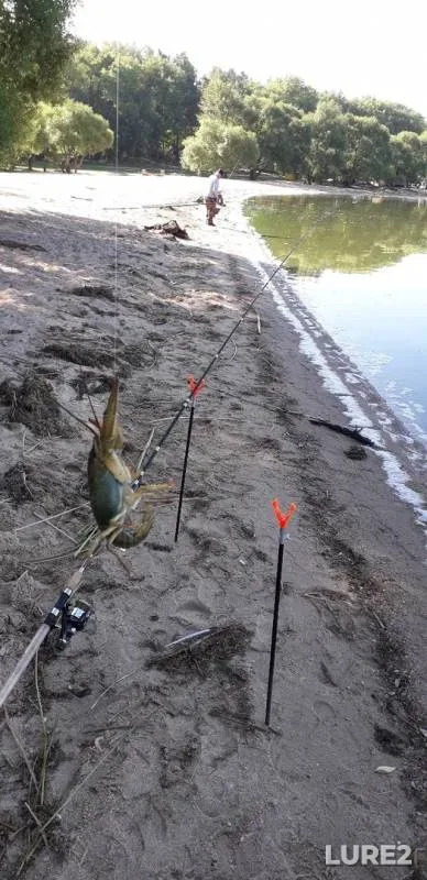 Crucian carp — Zaslavskoye, Aug 02, 2020