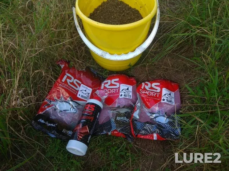 Bream, Carp — Svisloch, Sep 01, 2020
