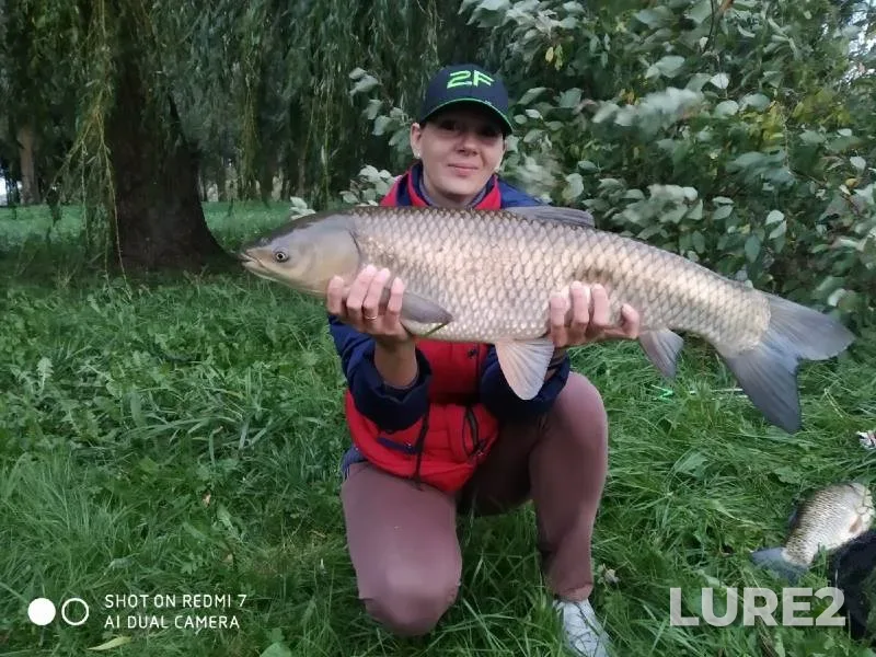 Bream, Zander — Svisloch, Sep 27, 2020