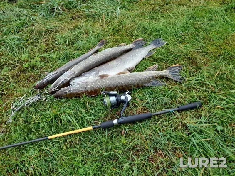 Pike — Svisloch, Sep 28, 2020