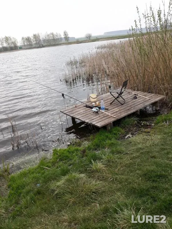 Crucian carp — Tsetranka, May 06, 2020